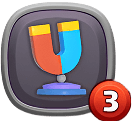 Magnet